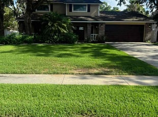 Tim E.'s lawn care services service result