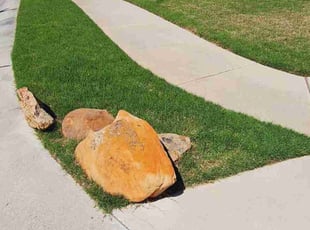 Donald C.'s turf maintenance service result