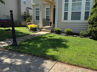 Marvin M.'s landscaping services service result