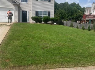 Dominique M.'s lawn care services service result