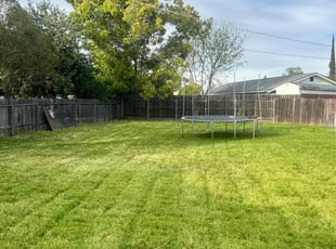 Kim D.'s Cleanups service result