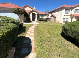 Ed T.'s grass cutting service result