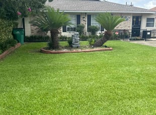 Lorraine M.'s grass maintenance service result