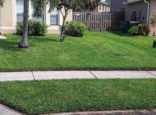 Alexandra R.'s turf care service result
