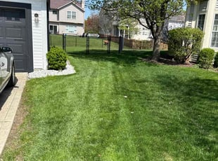 Lori M.'s landscaping service result