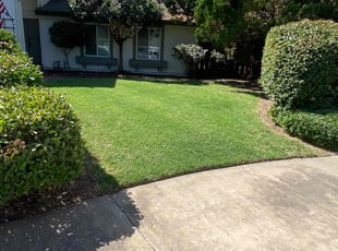 Ray K.'s lawn care service result