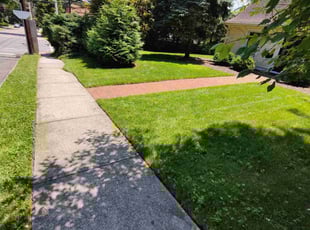 Vincent W.'s turf maintenance service result