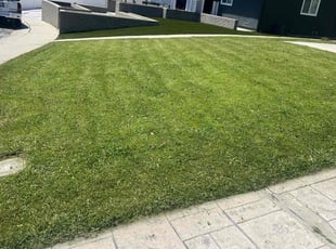 Kelsy C.'s lawn maintenance service result