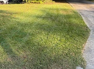 Calandra L.'s lawn care services service result