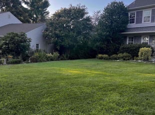Tyeshia R.'s grass maintenance service result