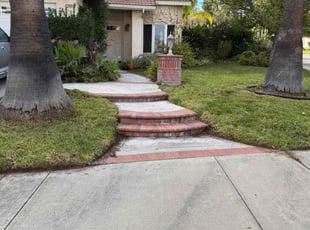 Dale M.'s lawn care service result