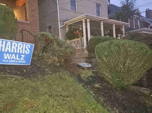 Karen B.'s Bush Trimming service result