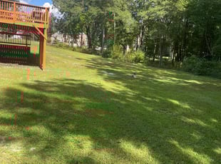 Shane S.'s turf care service result