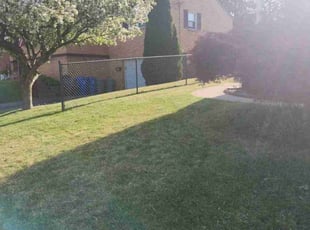 Toni P.'s grass cutting service result