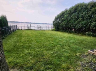 Cary S.'s grass cutting service result