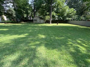 Rachel G.'s lawn service service result