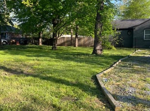 Esther L.'s lawn maintenance service result