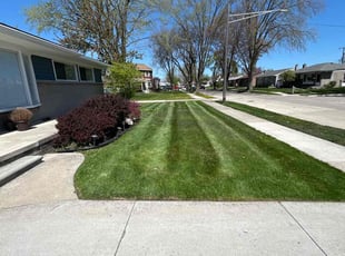 Josh A.'s grass cutting service result