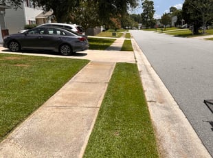 Espanola H.'s lawn care services service result