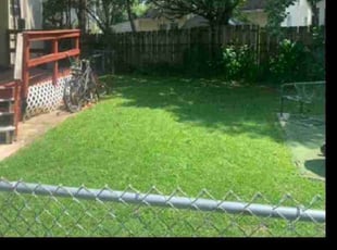 Barkatali P.'s lawn care services service result