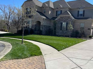 Dean H.'s grass cutting service result