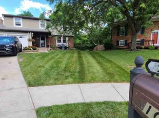 Jaron M.'s lawn care service result