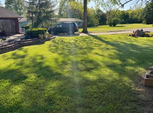 Jason S.'s yard work service result