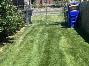 Kin L.'s landscaping services service result