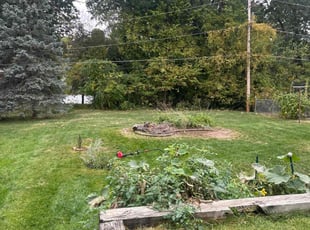 Karen C.'s grass maintenance service result