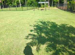 Gillean G.'s lawn care service result