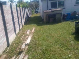 Elizabeth R.'s grass cutting service result