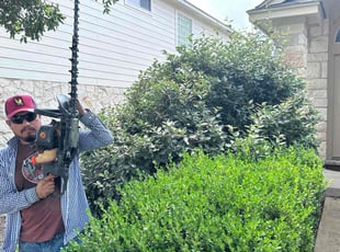 Linda B.'s Bush Trimming service result