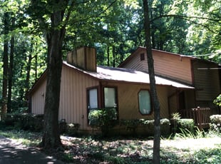 Edward P.'s Bush Trimming service result