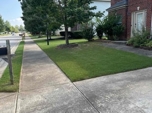 Chris C.'s turf maintenance service result