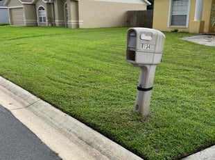 Patrick R.'s grass maintenance service result