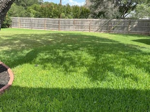 Tad W.'s grass maintenance service result
