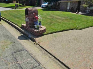 Jamaal M.'s lawn service service result