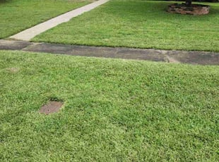 Ozzie D.'s lawn service service result