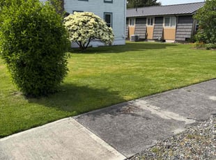 Jon J.'s lawn service service result