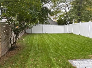 Sharon T.'s turf care service result