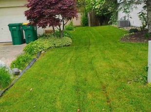 Cindy S.'s grass maintenance service result