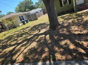 Steven C.'s turf care service result