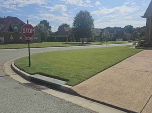 Michael P.'s lawn service service result