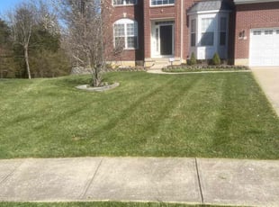Levoyd K.'s grass cutting service result