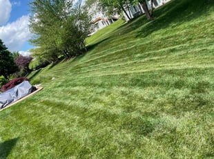 Courtney D.'s lawn care services service result