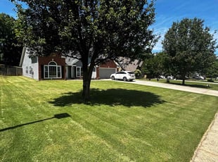 Lorna G.'s lawn service service result