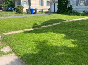 Alice P.'s grass cutting service result