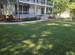 Natalie P.'s turf care service result
