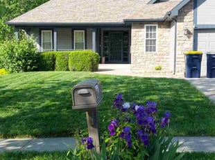 Adrian B.'s grass maintenance service result