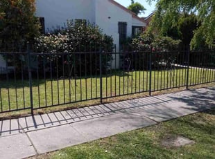 Carl M.'s turf maintenance service result